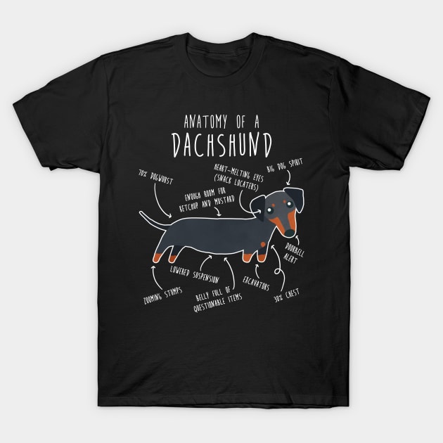 Black and Tan Dachshund Dog Anatomy T-Shirt by Psitta